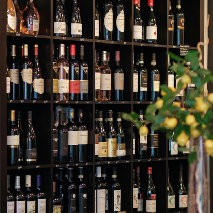 A surprise tasting of five different wines. Sofia 