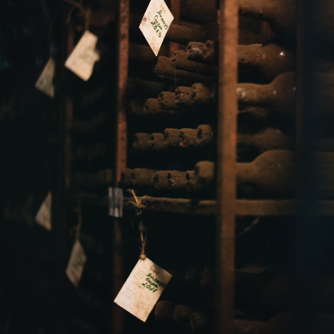 Wine affair in Melnik. WOW! - Six-step wine degustation for two