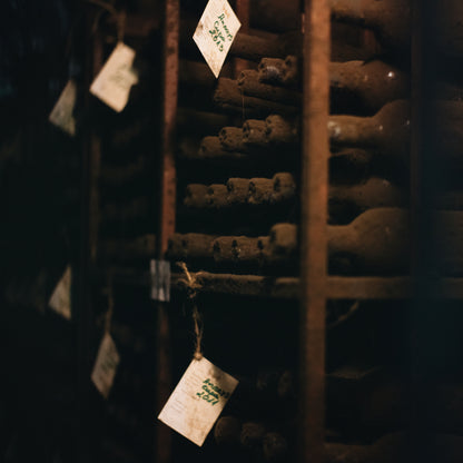 Wine affair in Melnik. WOW! - Six-step wine degustation for two