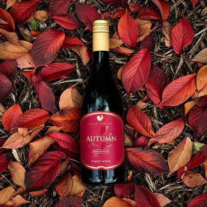 Bottled Seasons: 4 seasonal wines to enjoy at home