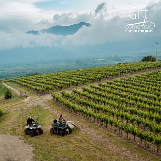 Wine tasting and adventurous offroad for two