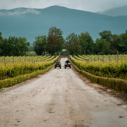 An offroad adventure for two and picnic in the vineyards around Plovdiv