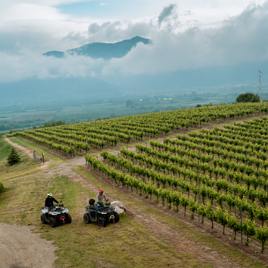 Wine tasting and adventurous offroad for two