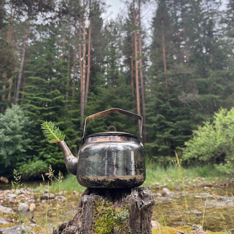 Wild therapy - Basics of survival for a group of up to 8 people.  Vitosha, Plana or Stara Planina