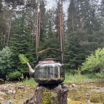 Wild therapy - Basics of survival for a group of up to 8 people.  Vitosha, Plana or Stara Planina