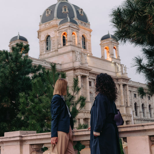 A dream gift. Two days in Vienna and a guided tour