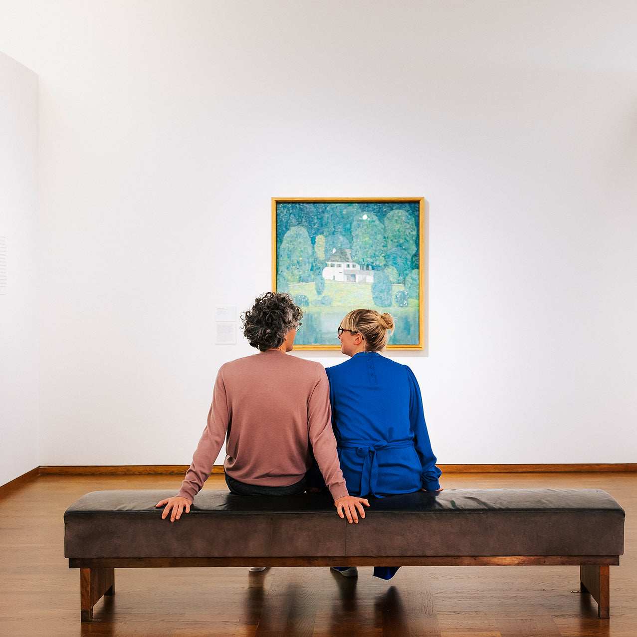 A dream gift. Two days in Vienna and a guided tour