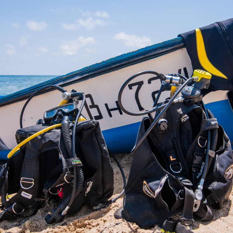 Scuba diving experience for couples with underwater photo shooting