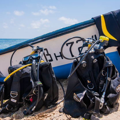 Scuba diving experience