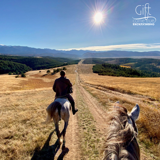 Horse riding in Rila. Galloping to happiness. Rancho Rila