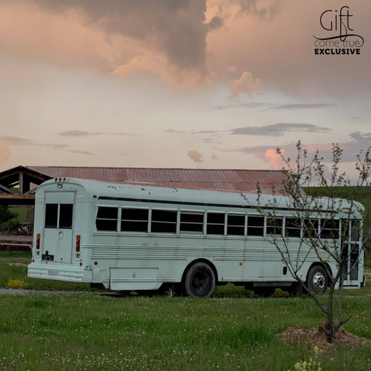 Learn to Drive american Army bus BlueBird