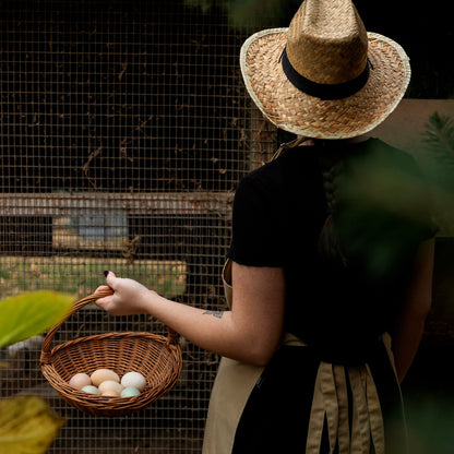 Authentic Greek Cooking Class at Karaiskos Farm in Pelion