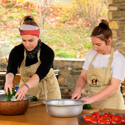 Authentic Greek Cooking Class at Karaiskos Farm in Pelion