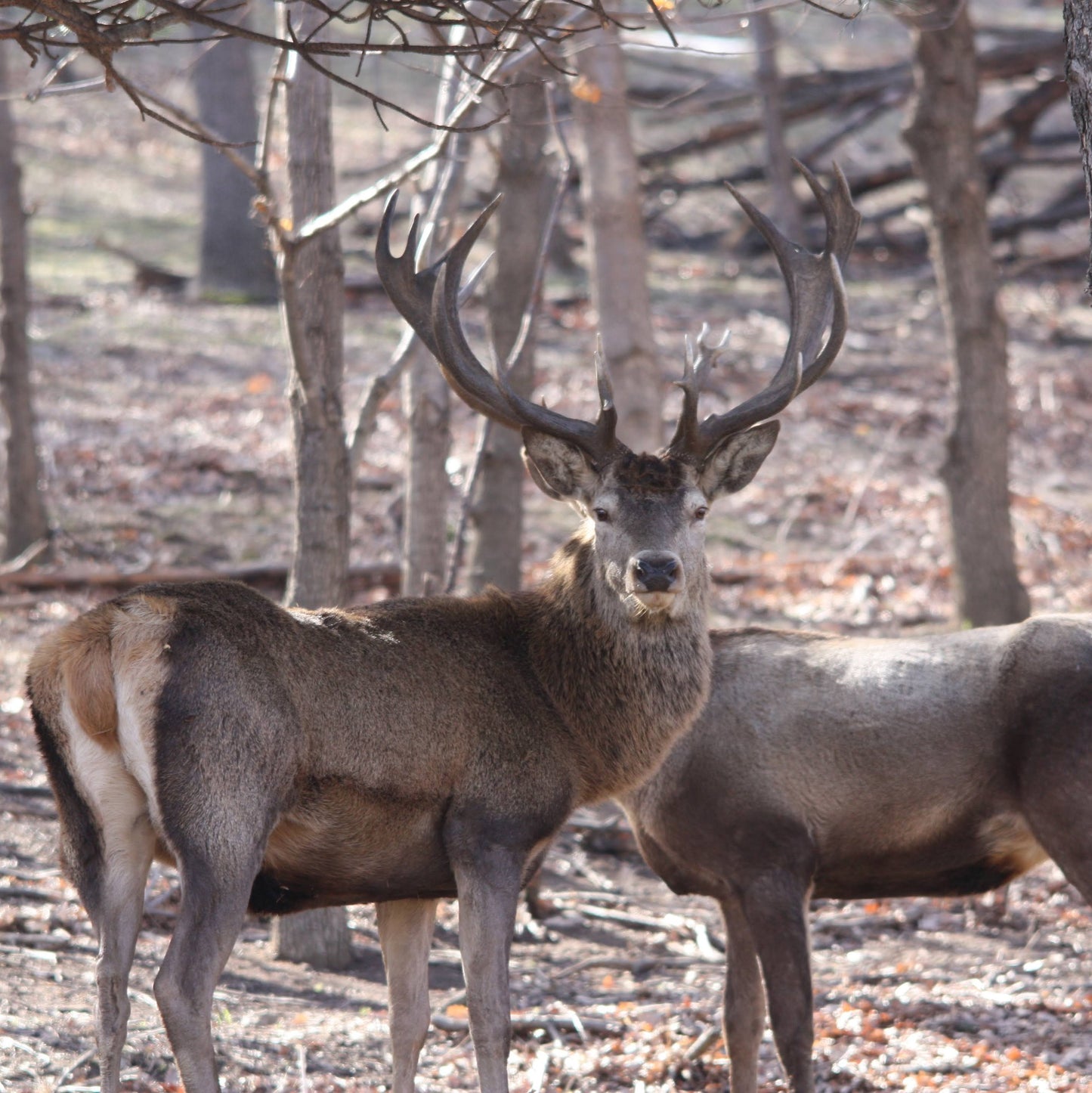 Escape the city and discover Bulgaria’s nature with a forest adventure