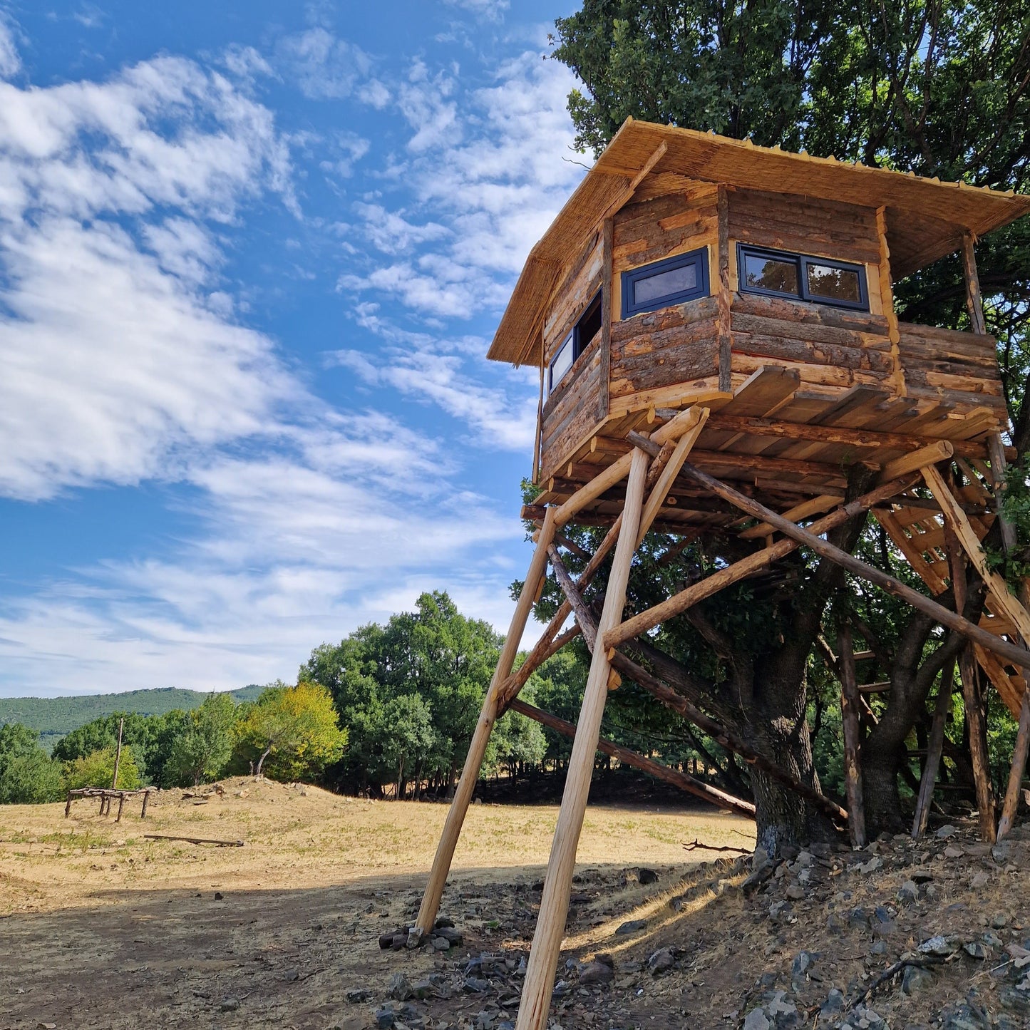 Escape the city and discover Bulgaria’s nature with a forest adventure