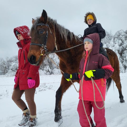 Horse riding lessons for children in Borovets