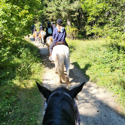 Horse riding lessons for children in Borovets