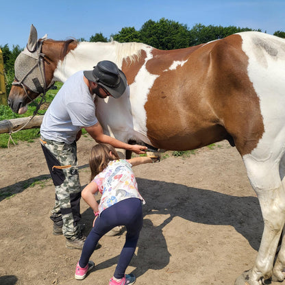 Horse riding lessons for children in Borovets