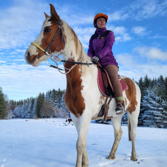 Horse riding and romantic picnic for two. Borovets