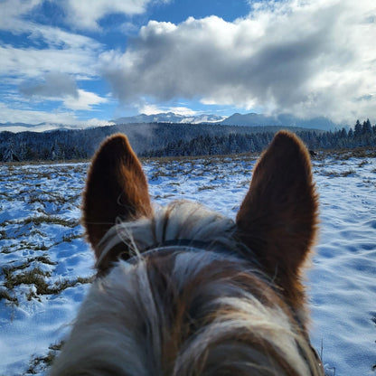 Horse riding and romantic picnic for two. Borovets