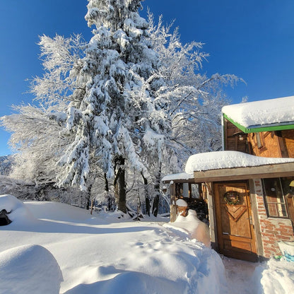 Horse riding and romantic picnic for two. Borovets