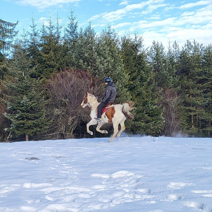 Horse riding and romantic picnic for two. Borovets