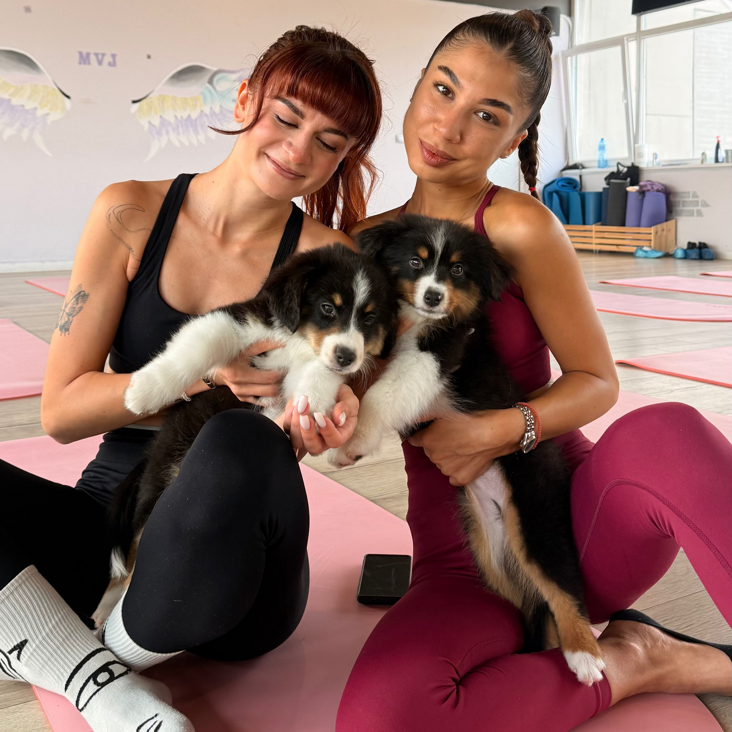 Puppy yoga class. Improve your health and relax with friendly puppies. Sofia