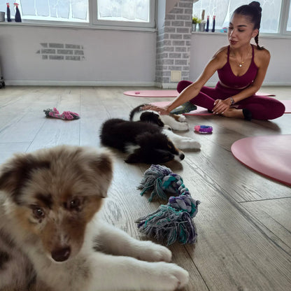 Puppy yoga class. Improve your health and relax with friendly puppies. Sofia