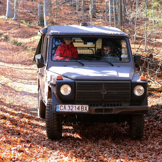 Forest offroad safari and wildlife watching near Sofia