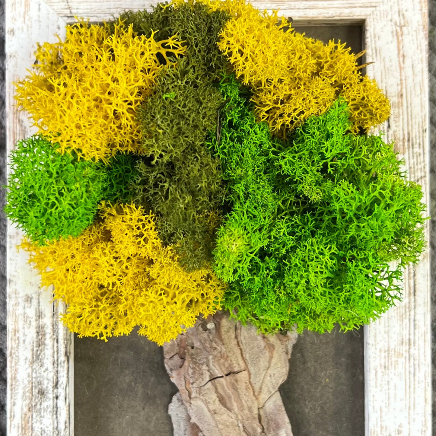 Creative workshop with Scandinavian moss. Create your unique masterpiece.