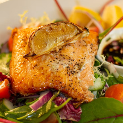 Quick Gourmet Recipes