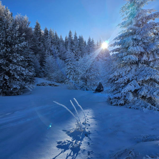 Snowmobile adventure in Stara Planina