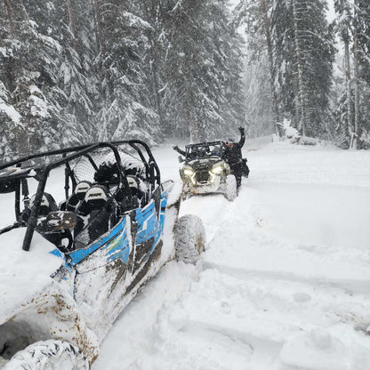 Winter buggy safari in the Rhodope mountains