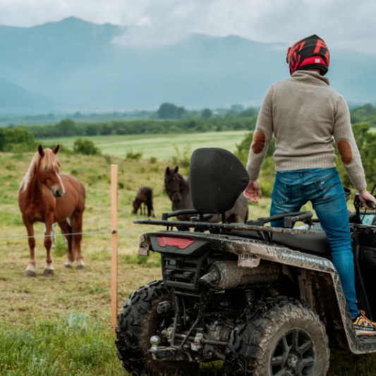 Horseback riding and adventures in the nature of Plovdiv