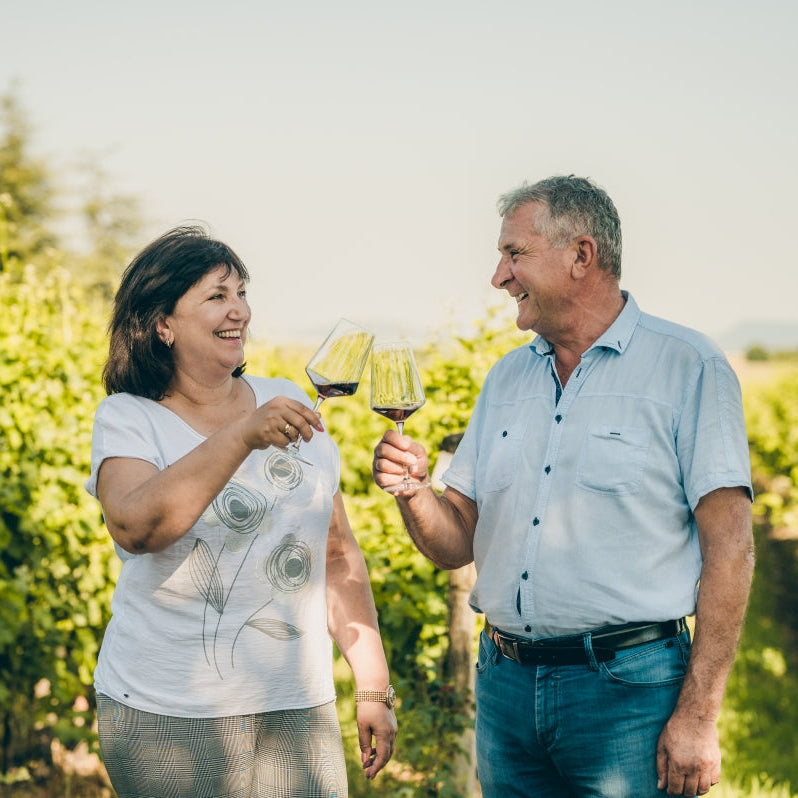 Award-Winning Wines – Tour and Tasting at “Tsarev Brod” Winery