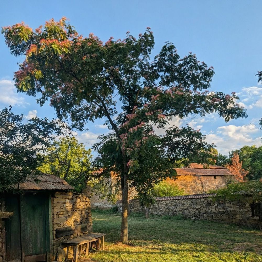 A getaway for friends in Indiliya – comfort, inspiration, and nature