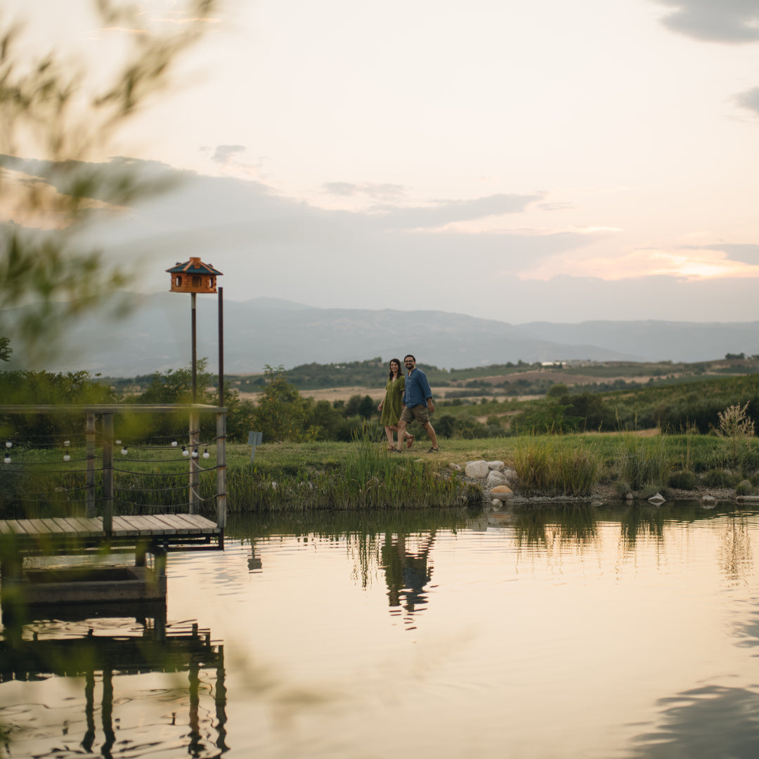 Shared Wine Experience for 6 People – Wine Tasting and Winery Tour