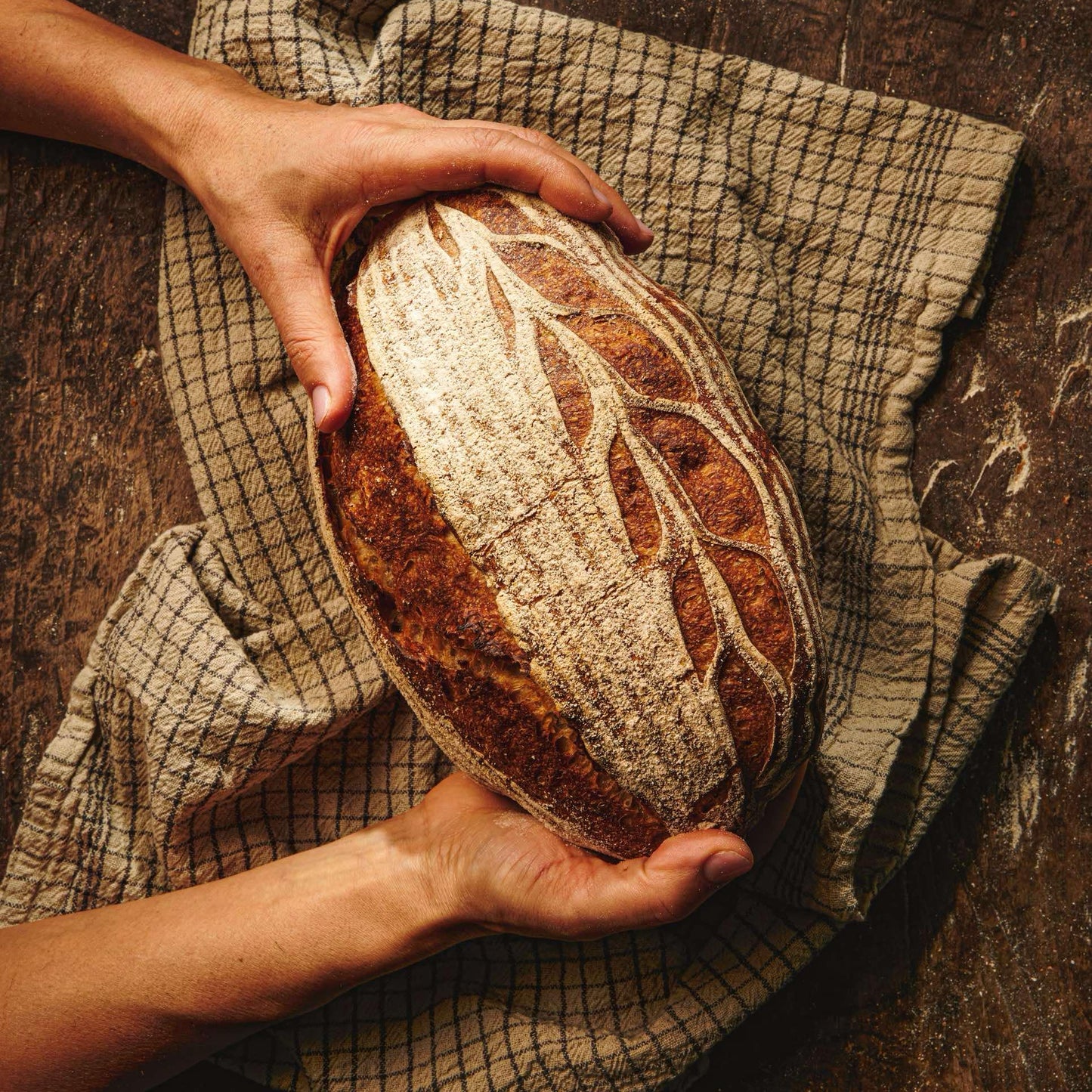 First Steps in Sourdough – Culinary Course with HlebYana