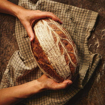 First Steps in Sourdough – Culinary Course with HlebYana