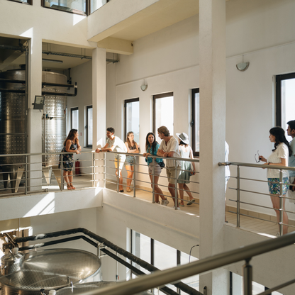 Shared Wine Experience for 6 People – Wine Tasting and Winery Tour