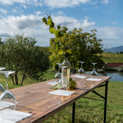 Shared Wine Experience for 6 People – Wine Tasting and Winery Tour