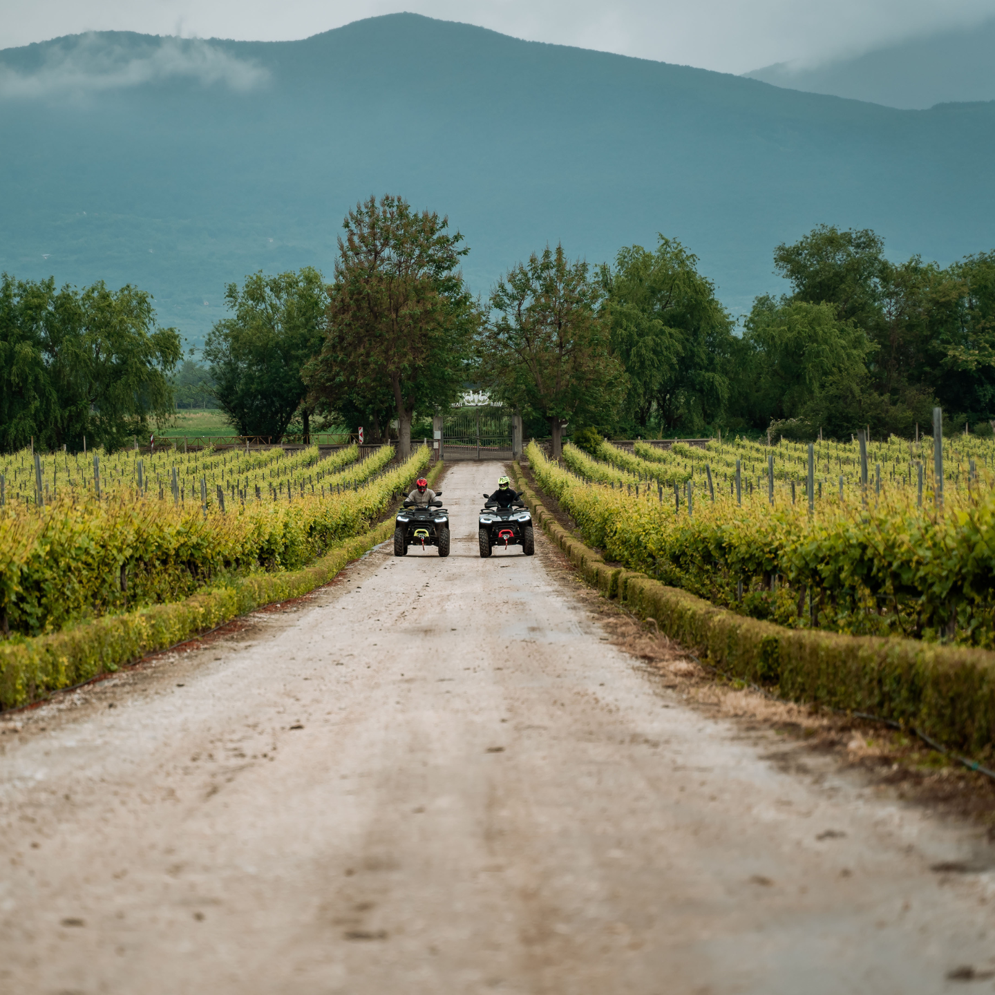 Horseback riding and adventures in the nature of Plovdiv