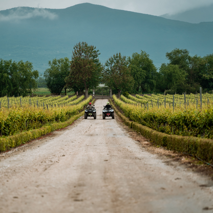 Horseback riding and adventures in the nature of Plovdiv