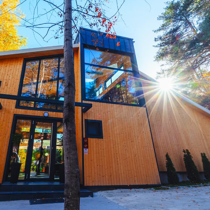 The secret journey. Forest magic in the ancient Rhodope Mountains.