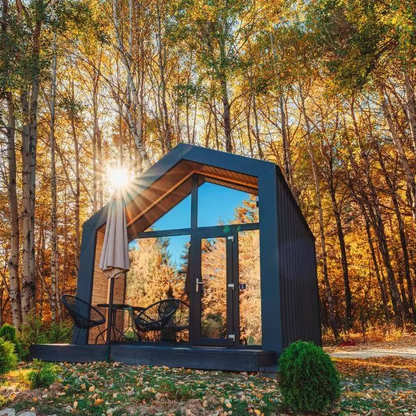 The secret journey. Forest magic in the ancient Rhodope Mountains.