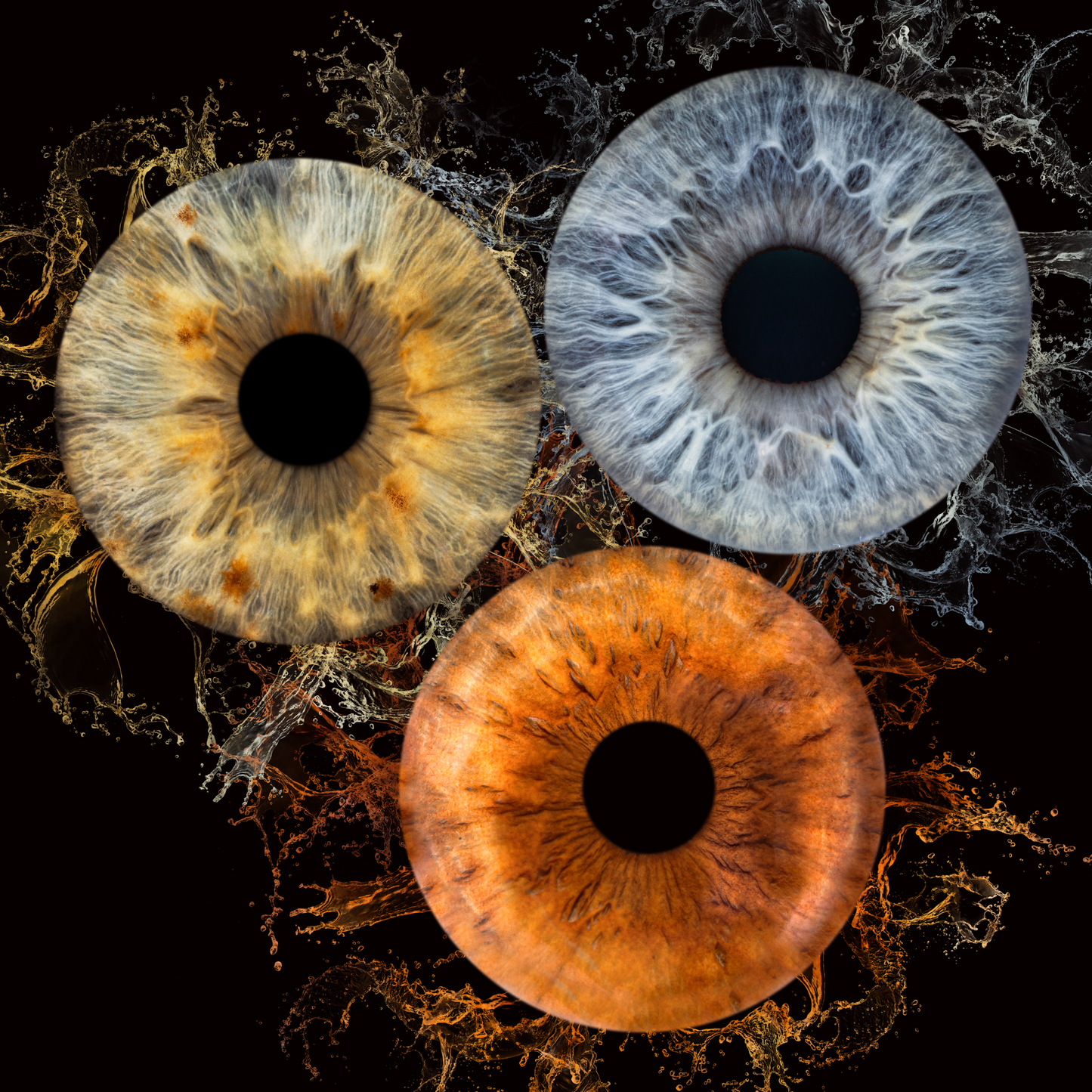 Eyes captured as art. Iris photography Ruse