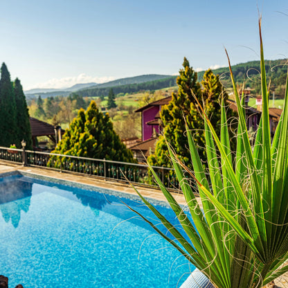 Relaxing escape in Velingrad. A getaway for two at Safari Village Velingrad