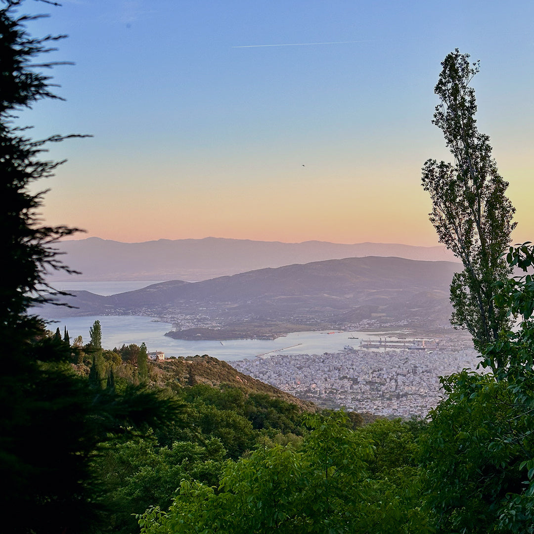 Wine and gastronomic holiday for two. Portaria, Greece