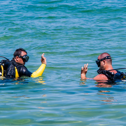 Scuba diving experience