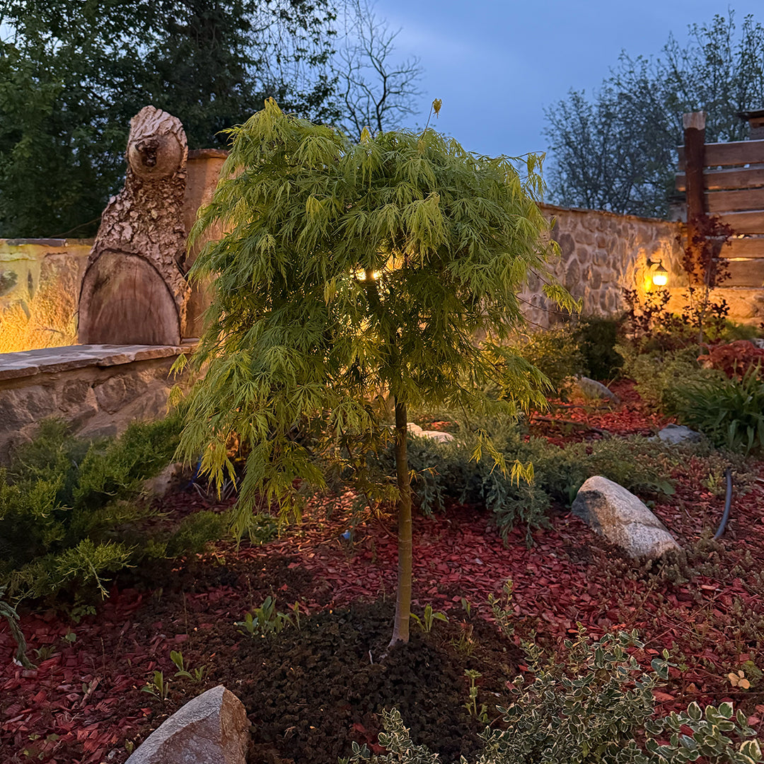 Picturesque escape for two. Two days in Etno Luks - a boutique and wellness retreat in Macedonia